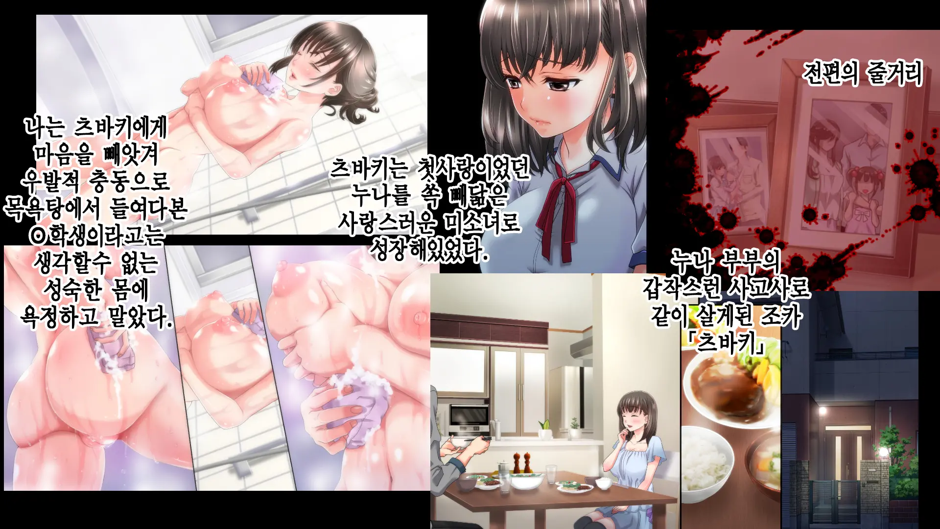 Ane No Wasuregatami No Mei O Ore Wa Okashita ~Kouhen~ | 누나가 죽고 남긴 조카를 나는 범 했다 후편